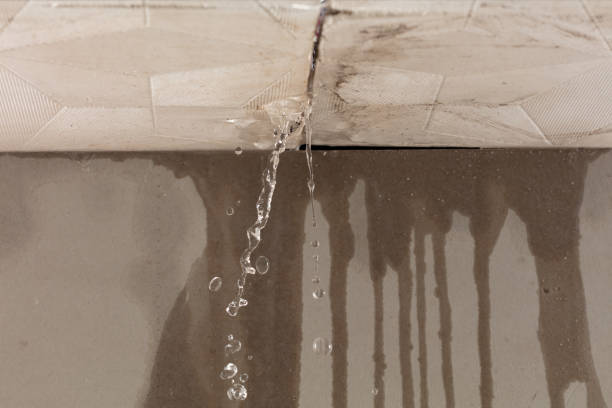 Professional Sewage Cleanup technician working in Paris, MO